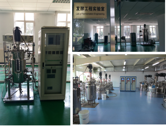 我公司承擔(dān)的863計(jì)劃和國(guó)家科技支撐計(jì)劃項(xiàng)目課題順利通過(guò)科技部驗(yàn)收 我公司承擔(dān)的863計(jì)劃和國(guó)家科技支撐計(jì)劃項(xiàng)目課題順利通過(guò)科技部驗(yàn)收